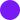image-value-Fialová