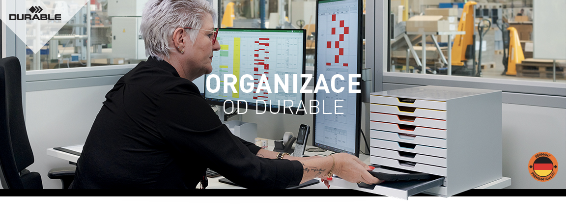 Organizace