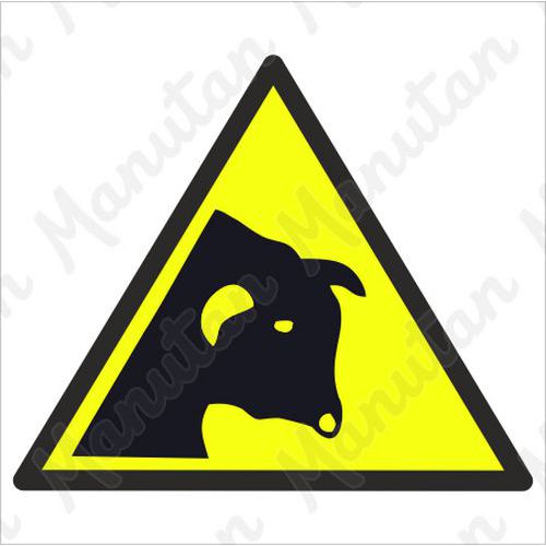 Výstražné tabulky - Výstraha býk