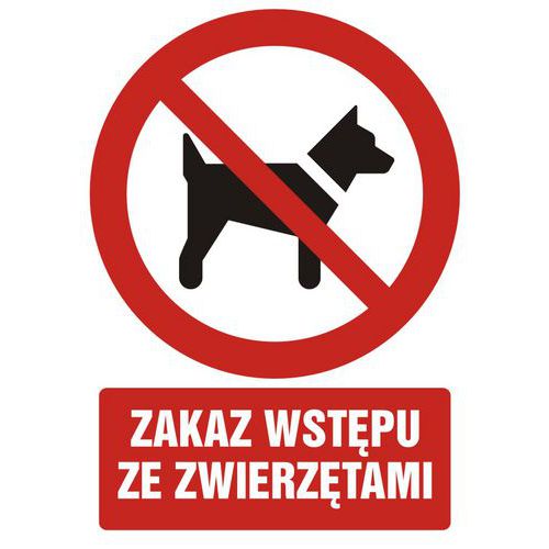 zdjęcie produktu