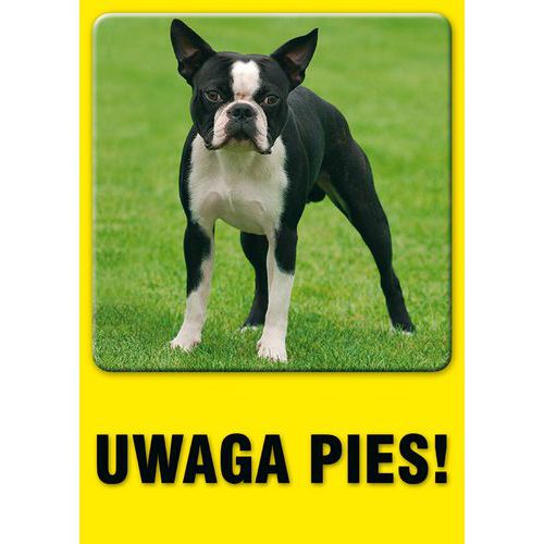zdjęcie produktu