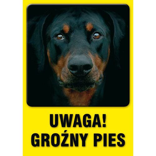zdjęcie produktu