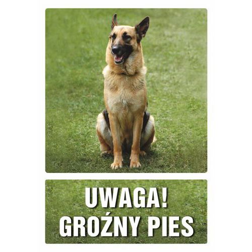 zdjęcie produktu