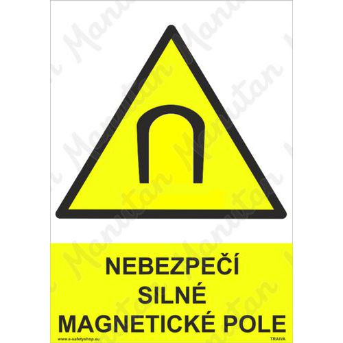 Nebezpe siln magnetick pole, plast 210 x 297 x 0,5 mm A4