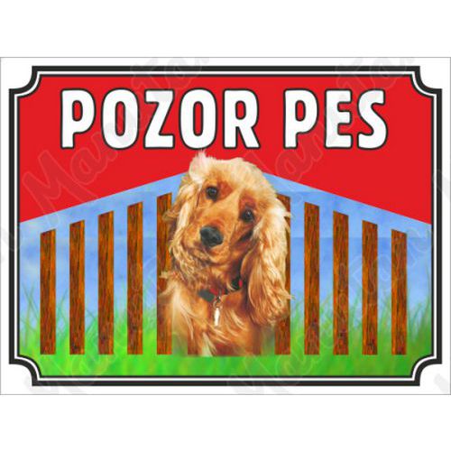 Pozor pes - Kokrpanl, plast 210 x 148 x 0,5 mm A5