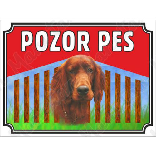 Pozor pes - Irsk setr, plast 210 x 148 x 2 mm A5