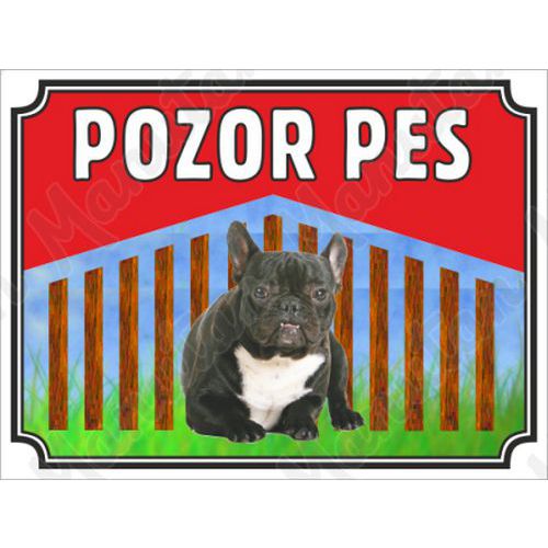 Pozor pes - Francouzsk buldoek, plast 210 x 148 x 2 mm A5