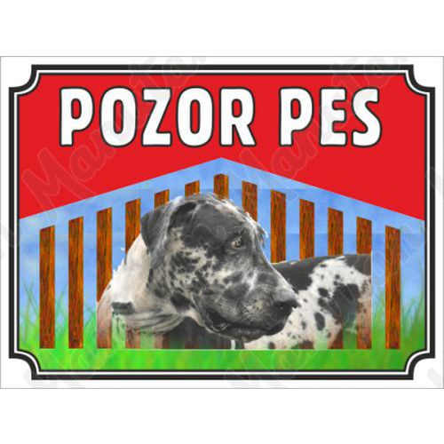 Pozor pes - Nmeck doga, plast 210 x 148 x 2 mm A5